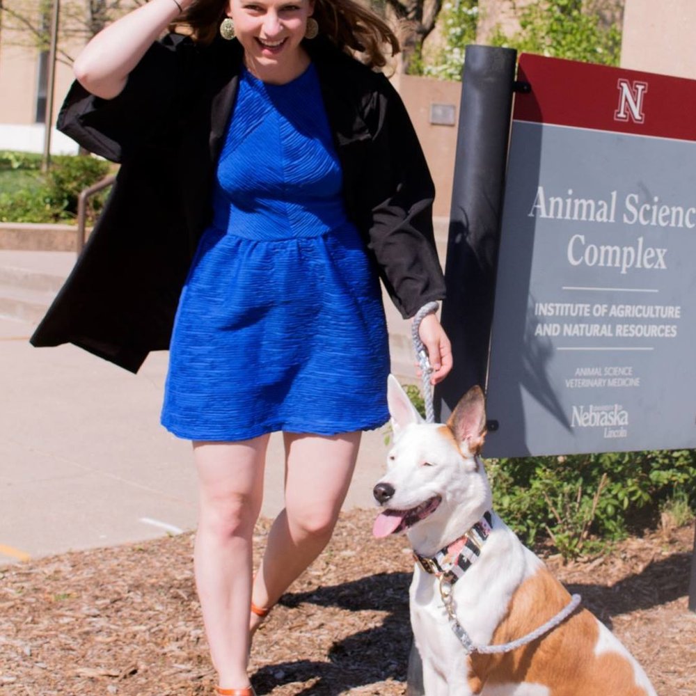 Topshop Cobalt Blue Mini Dress - size 8